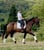 Annonce cheval