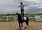 Annuncio cavallo
