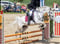 Annuncio cavallo