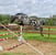 Annuncio cavallo