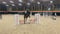 Horse ad