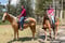 Annuncio cavallo