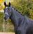 Annuncio cavallo