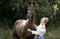 Annuncio cavallo