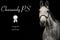 Horse ad