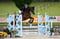 Horse ad