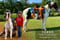 Horse ad