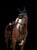 Horse ad