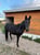 Horse ad