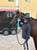Horse ad