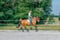 Horse ad