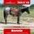 Annuncio cavallo