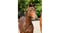 Horse ad