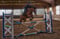 Horse ad