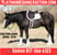 Horse ad