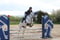 Horse ad