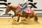 Annuncio cavallo