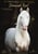 Horse ad