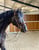 Annuncio cavallo