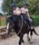 Annonce cheval