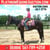 Horse ad