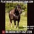 Horse ad