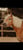 Annuncio cavallo