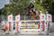 Annonce cheval