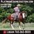 Horse ad