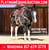 Horse ad