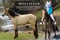 Horse ad
