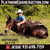 Annuncio cavallo