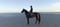 Annuncio cavallo