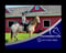 Horse ad