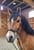Horse ad