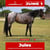 Paardadvertentie