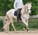 Horse ad