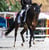 Annuncio cavallo