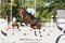 Horse ad