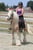 Horse ad