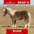 Horse ad
