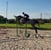 Annuncio cavallo