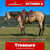 Horse ad