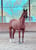 Horse ad