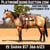 Horse ad