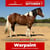 Paardadvertentie