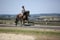 Horse ad