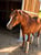 Anuncio de caballos