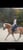 Annuncio cavallo