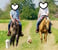 Annuncio cavallo